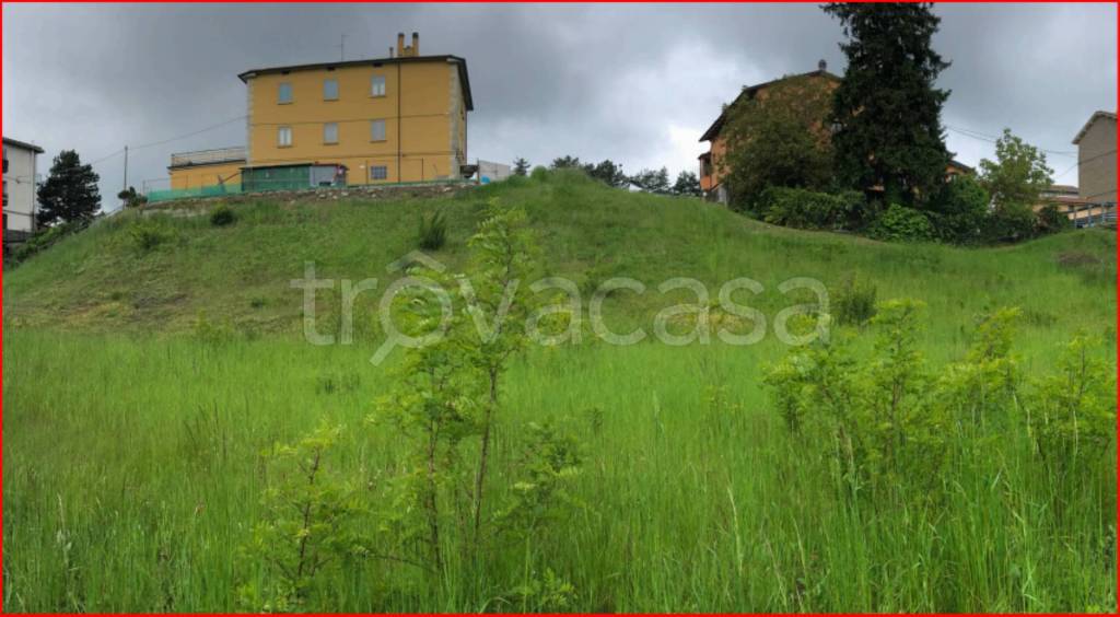 immagine annuncio 4 di 12