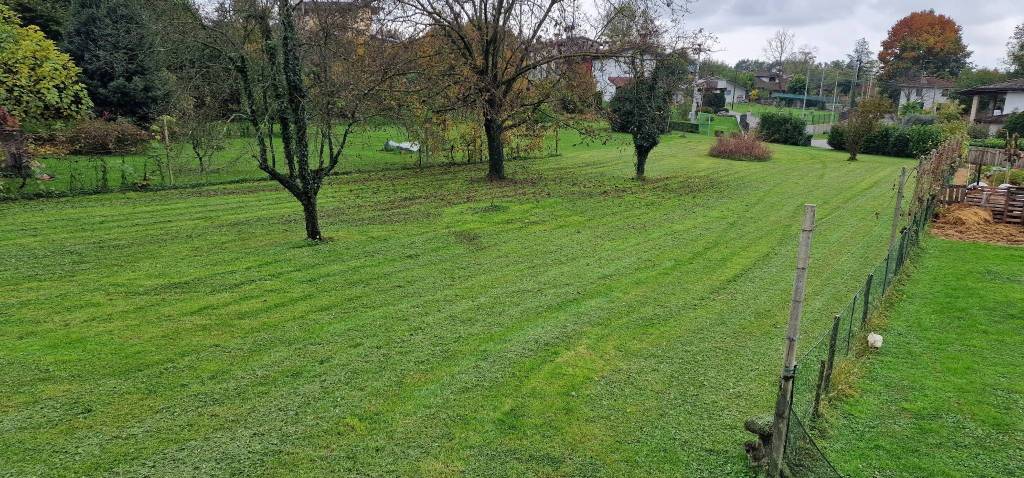 immagine annuncio 2 di 4