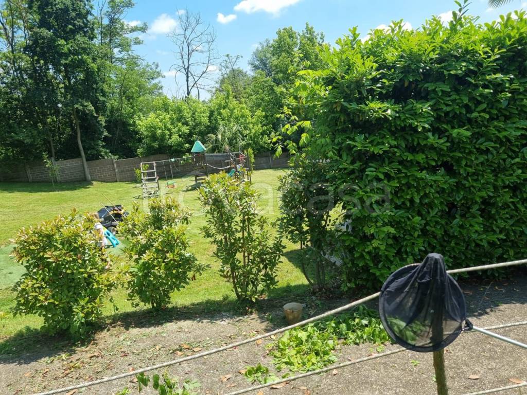 immagine annuncio 8 di 15