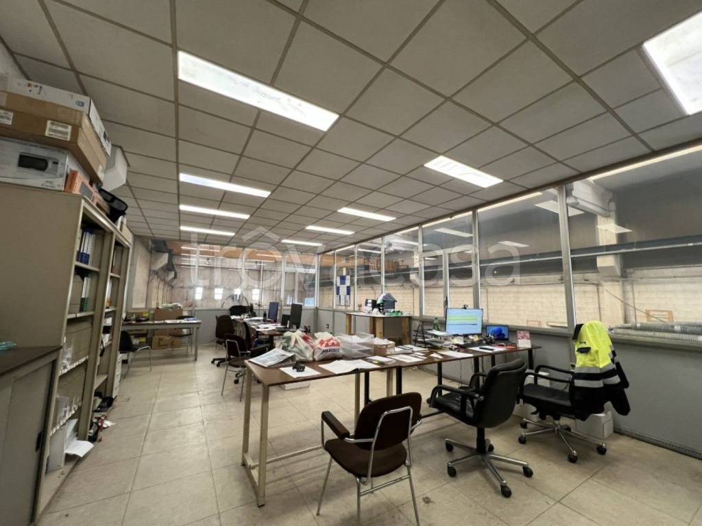 immagine annuncio 7 di 12