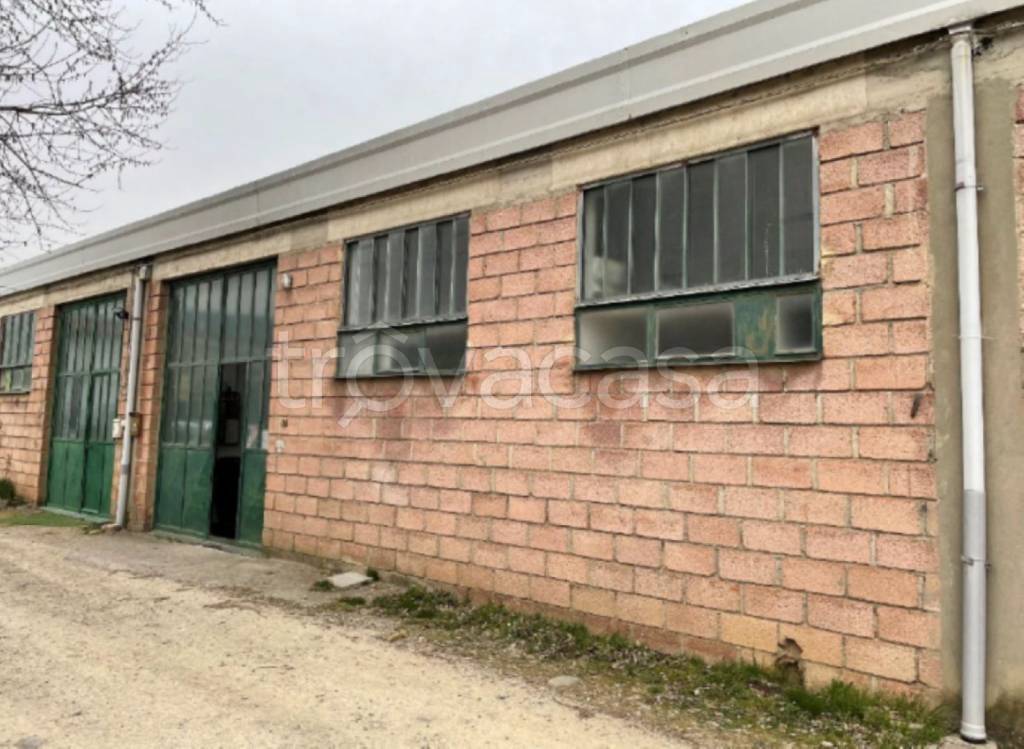 immagine annuncio 2 di 11