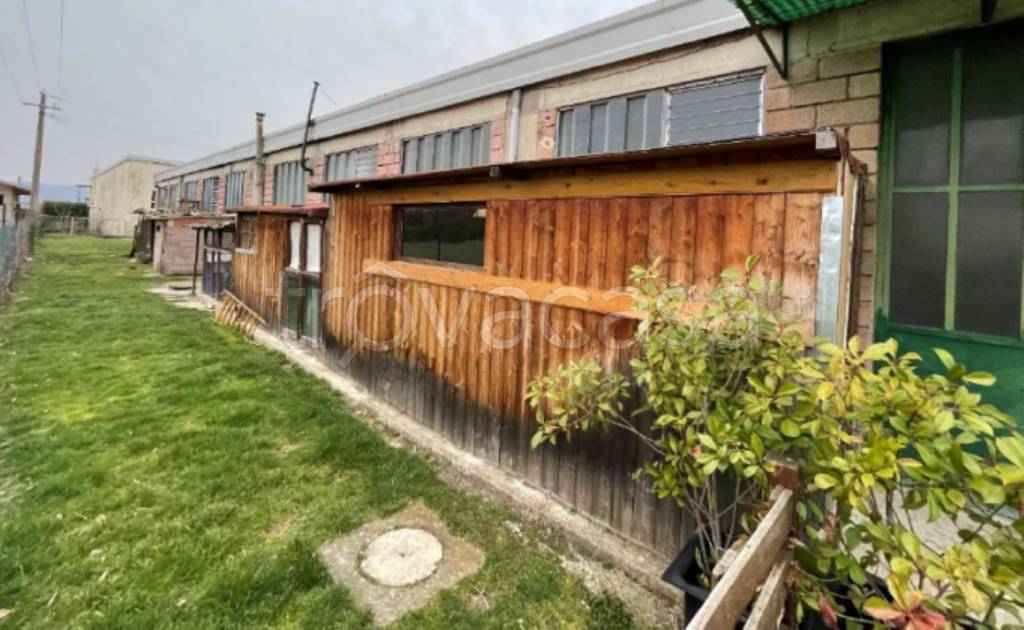 immagine annuncio 4 di 11