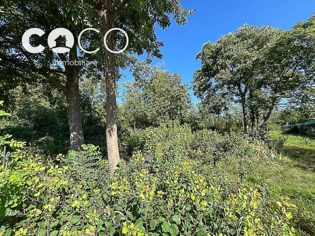 immagine annuncio 2 di 8