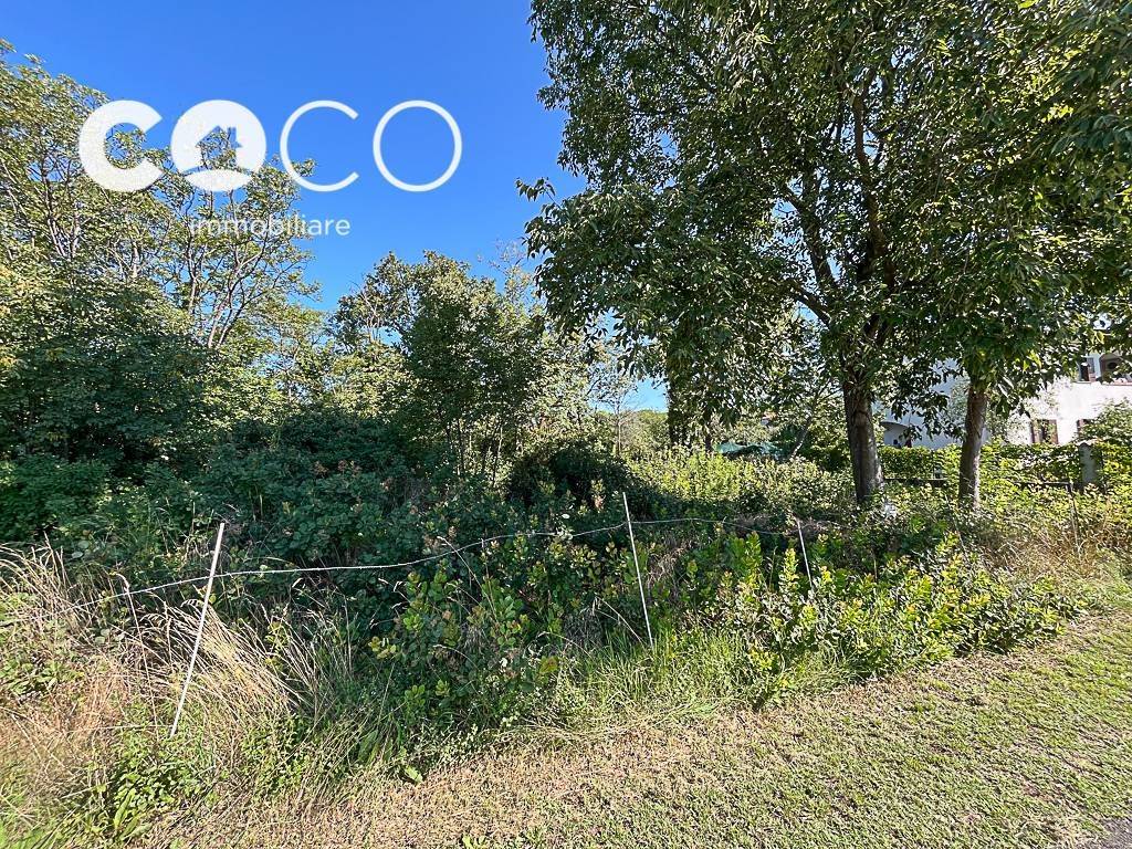 immagine annuncio 4 di 8