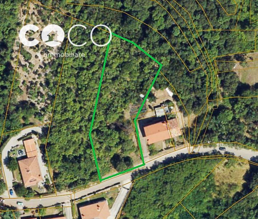 immagine annuncio 6 di 8