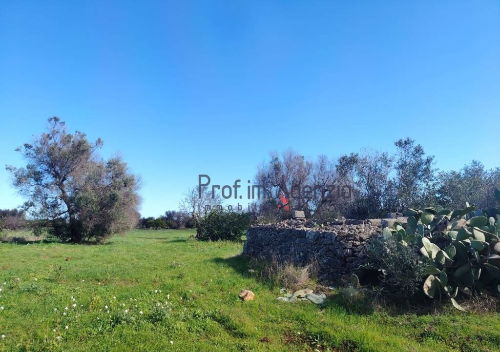 immagine annuncio 6 di 11