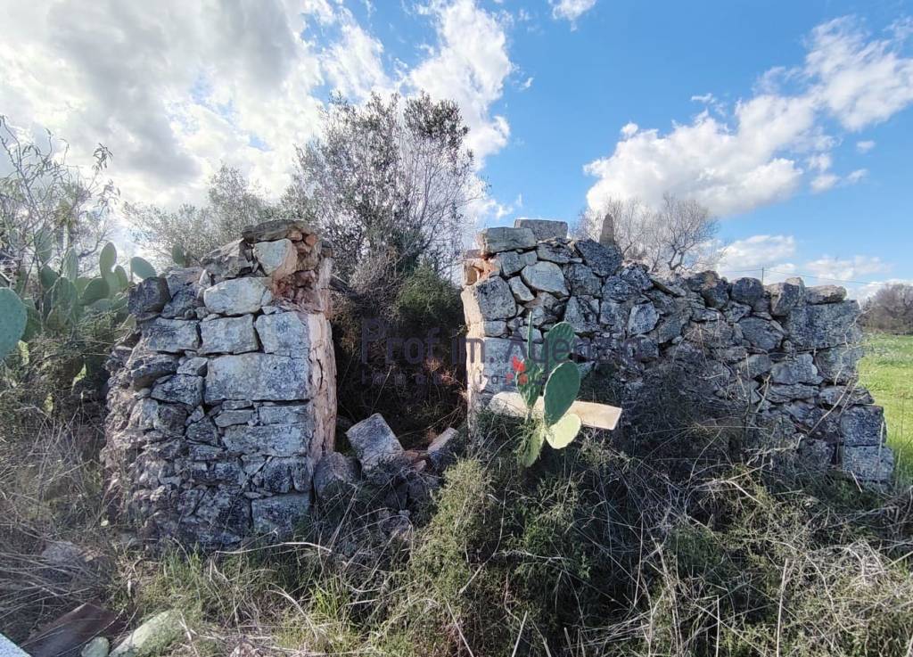 immagine annuncio 10 di 11