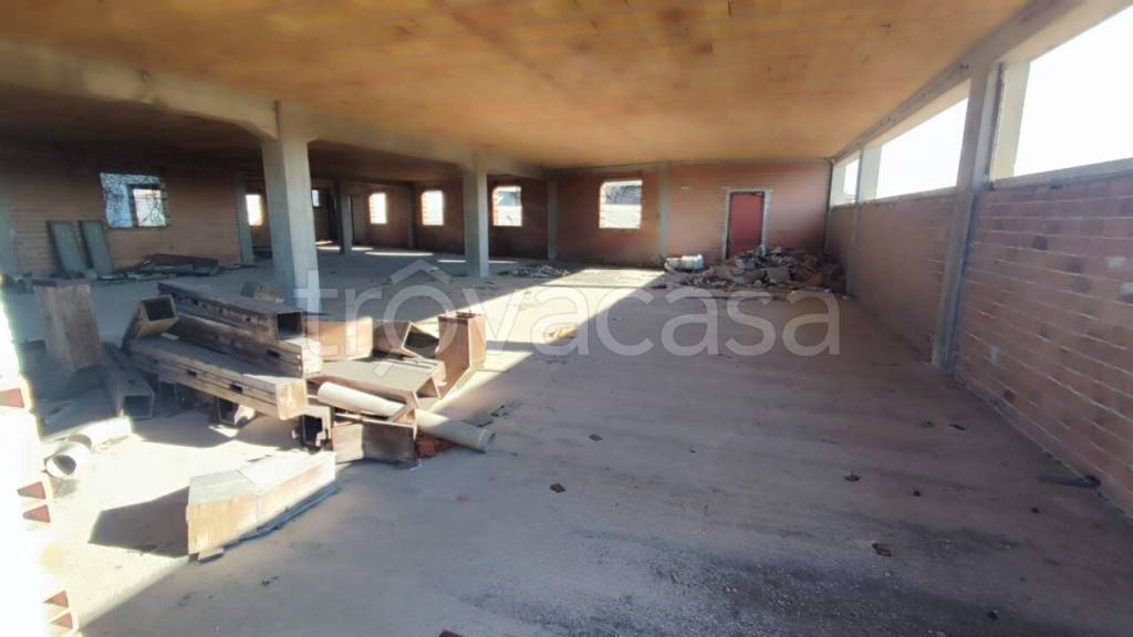 immagine annuncio 5 di 9