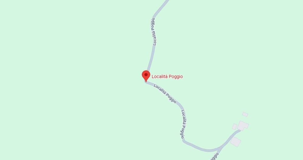 immagine annuncio 3 di 11