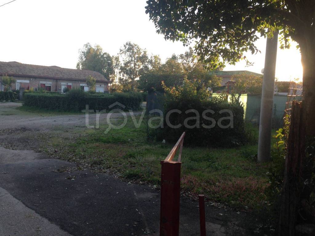 immagine annuncio 3 di 11