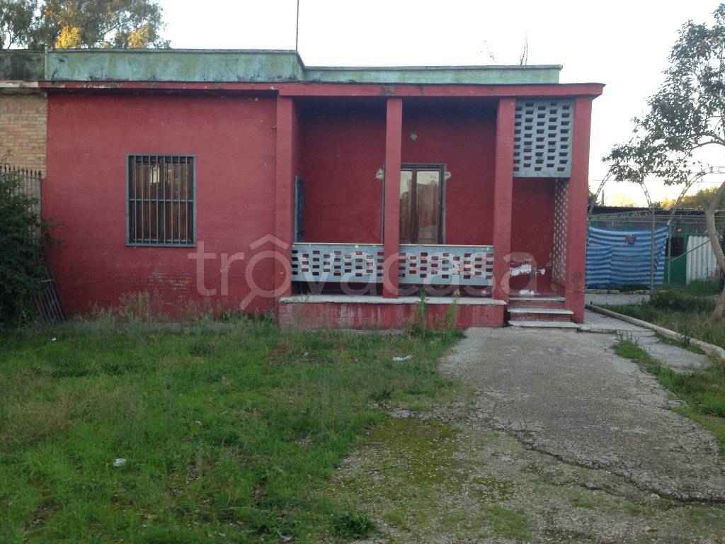 immagine annuncio 5 di 11