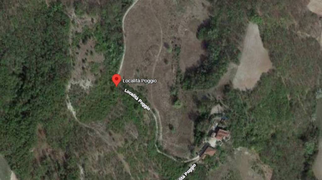 immagine annuncio 4 di 11