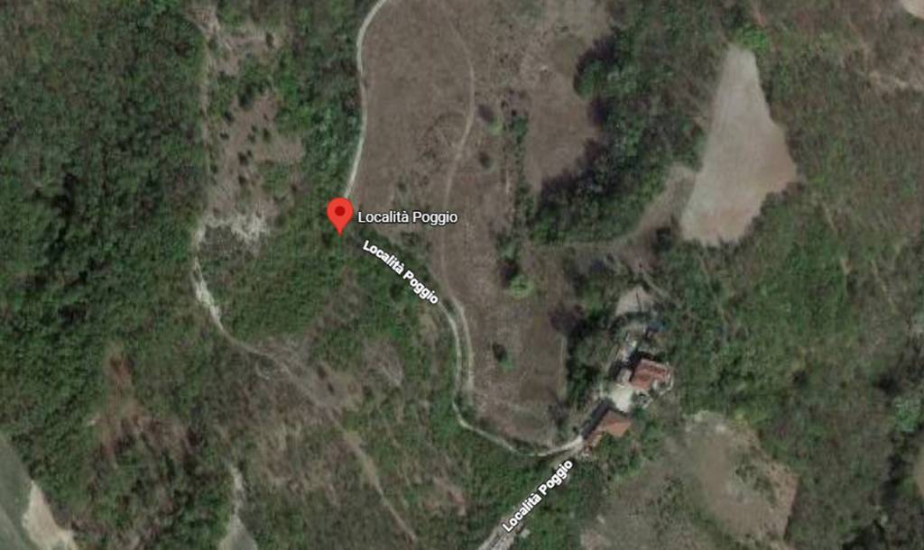 immagine annuncio 6 di 11