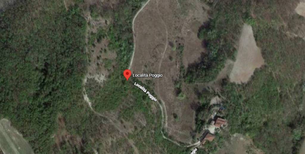 immagine annuncio 7 di 11