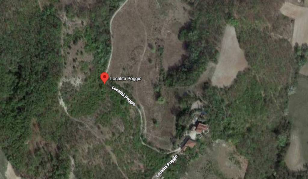 immagine annuncio 8 di 11