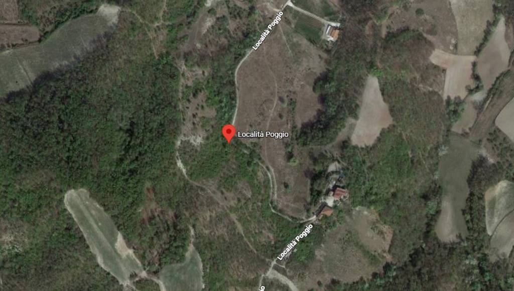 immagine annuncio 9 di 11