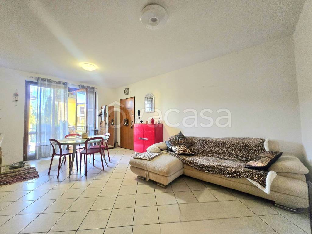 immagine annuncio 5 di 15