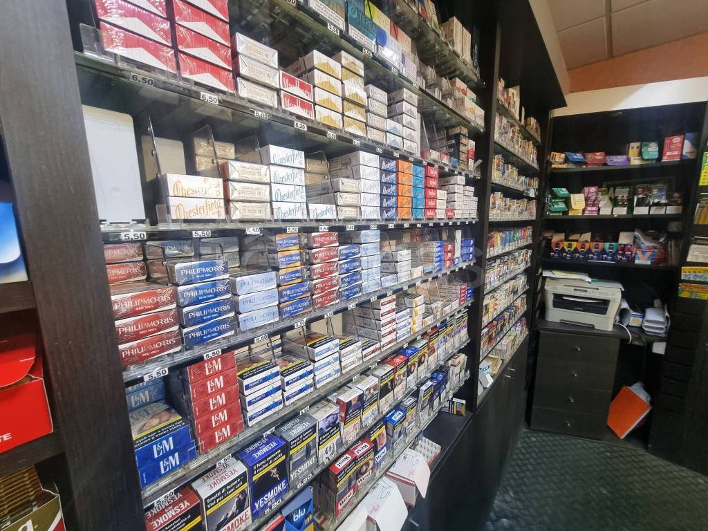 immagine annuncio 12 di 15