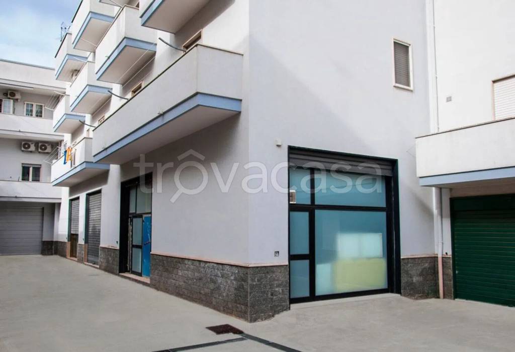 immagine annuncio 1 di 2