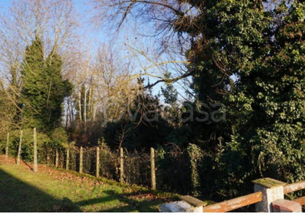 immagine annuncio 9 di 14