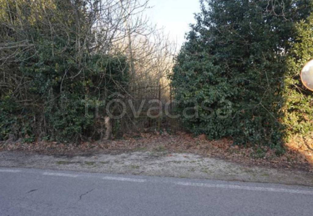 immagine annuncio 11 di 14