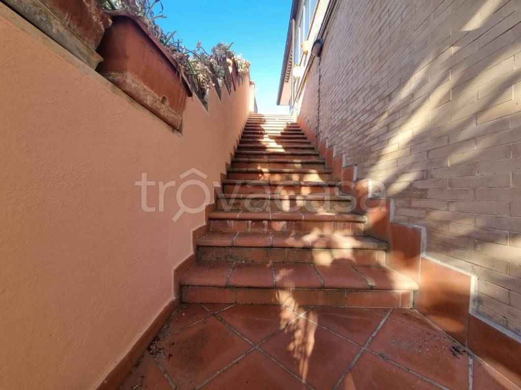 immagine annuncio 10 di 14