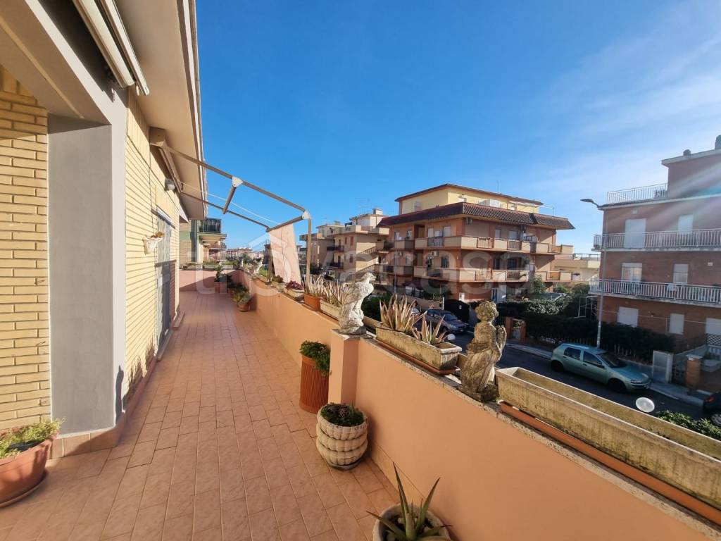 immagine annuncio 11 di 14