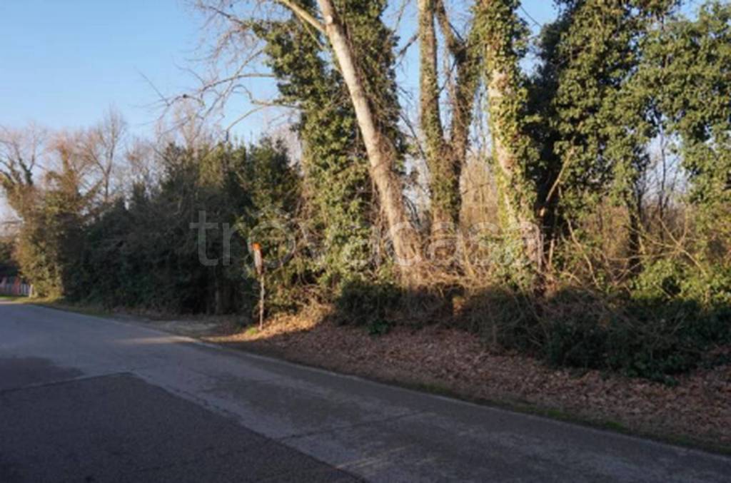 immagine annuncio 12 di 14