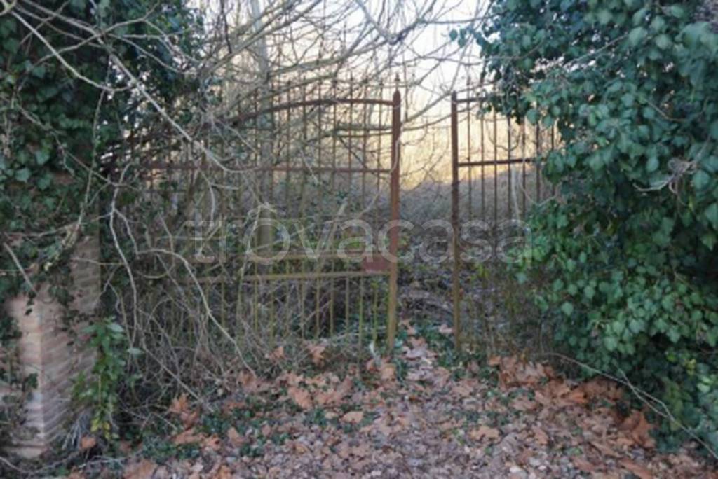 immagine annuncio 10 di 14