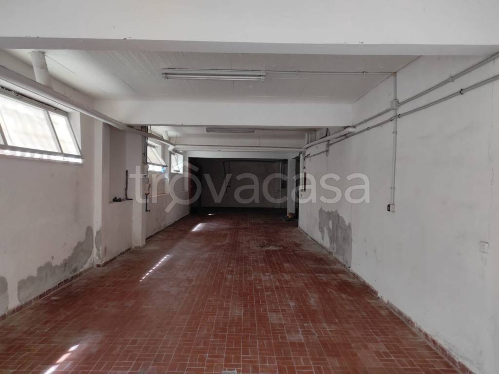 immagine annuncio 1 di 9