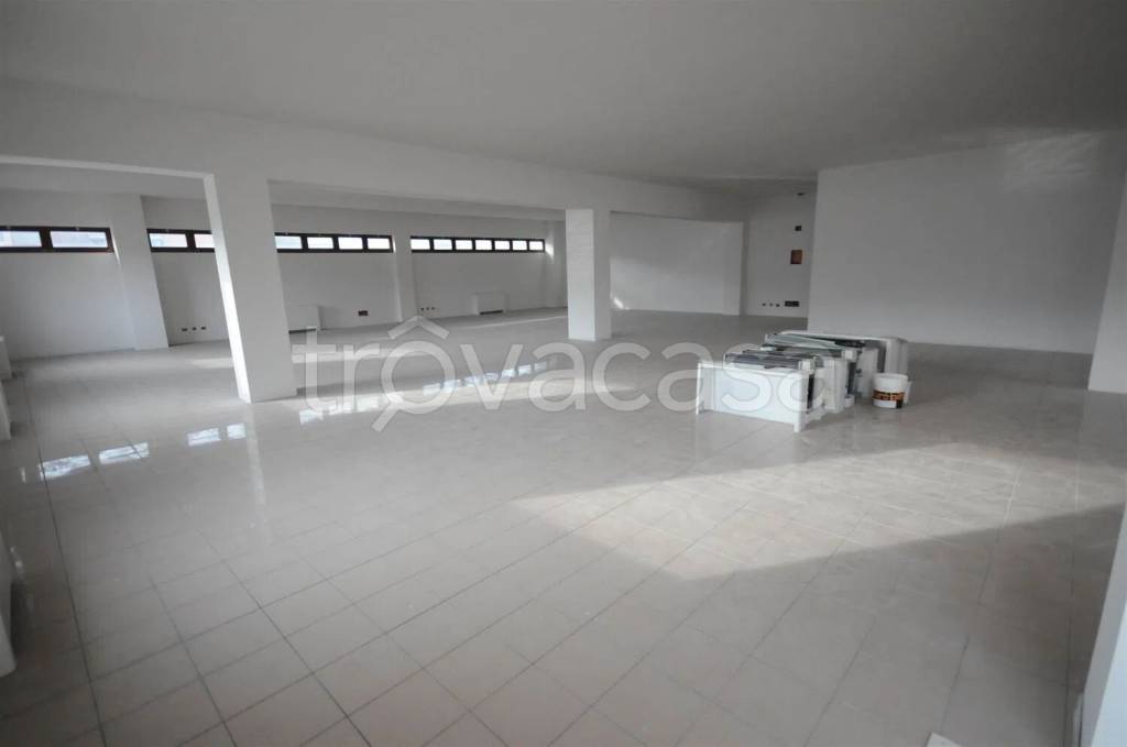 immagine annuncio 3 di 8