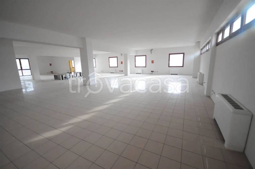 immagine annuncio 5 di 8