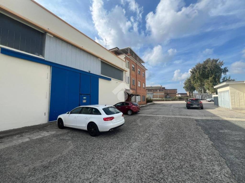 immagine annuncio 7 di 15