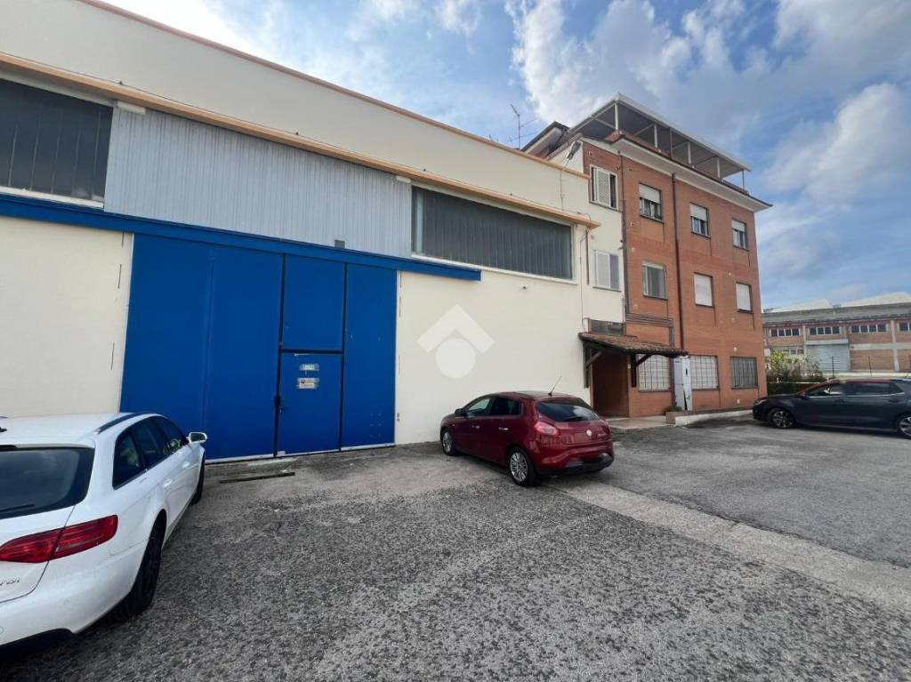 immagine annuncio 9 di 15