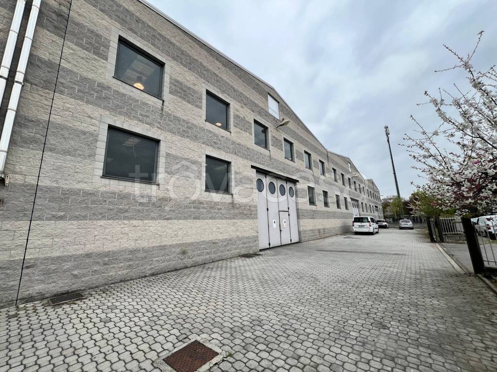 immagine annuncio 2 di 15