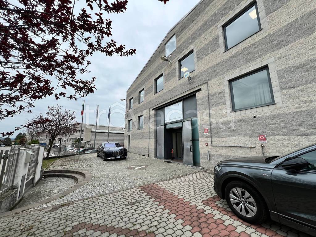 immagine annuncio 3 di 15