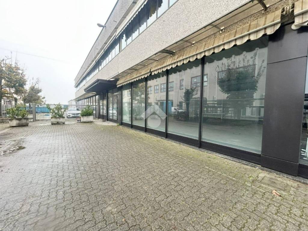 immagine annuncio 6 di 11