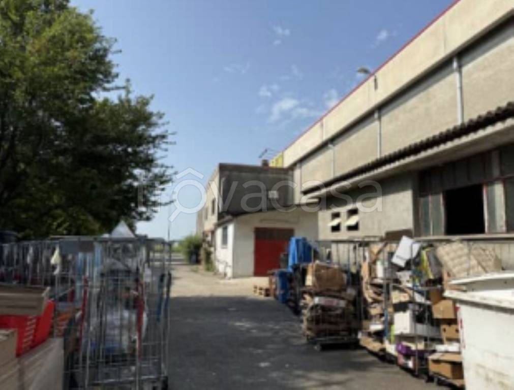 immagine annuncio 4 di 14