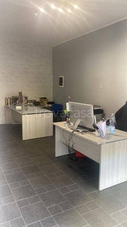 immagine annuncio 2 di 12