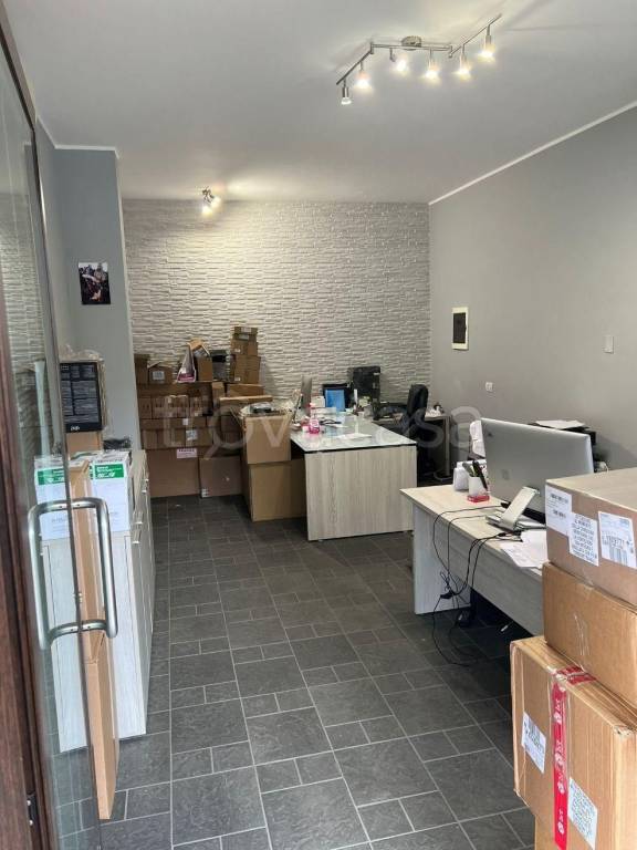 immagine annuncio 3 di 12