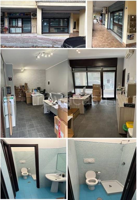 immagine annuncio 10 di 12