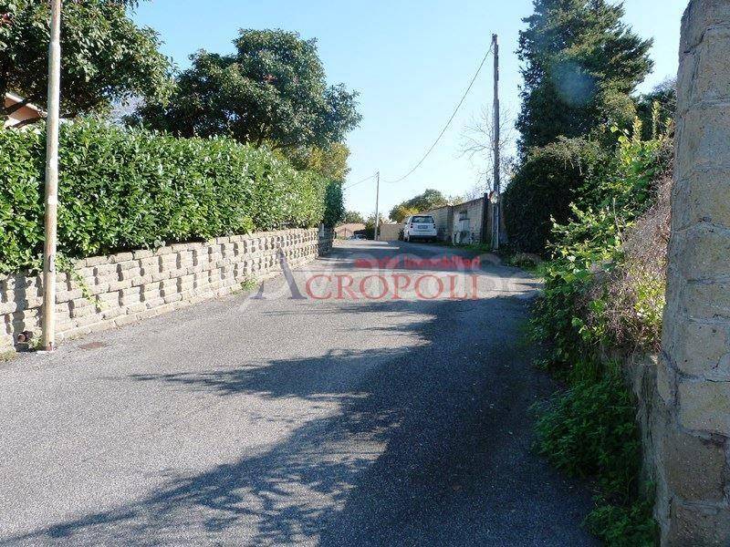 terreno agricolo in vendita ad Anguillara Sabazia