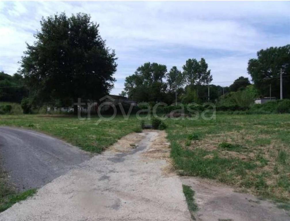 immagine annuncio 2 di 3