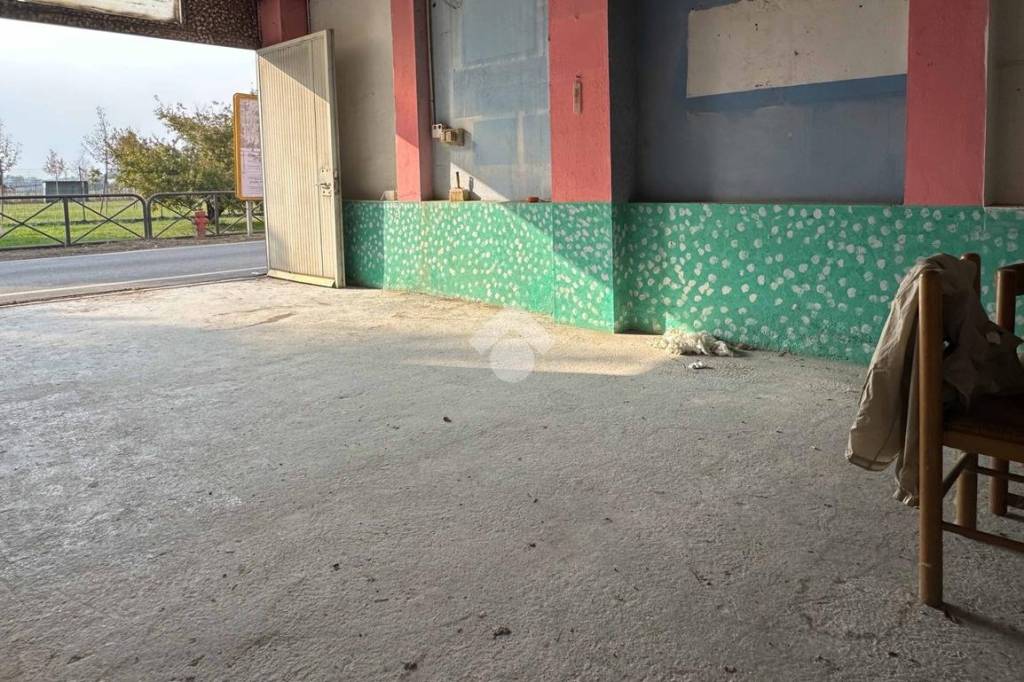 immagine annuncio 7 di 12