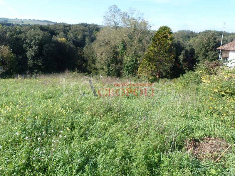 immagine annuncio 5 di 11