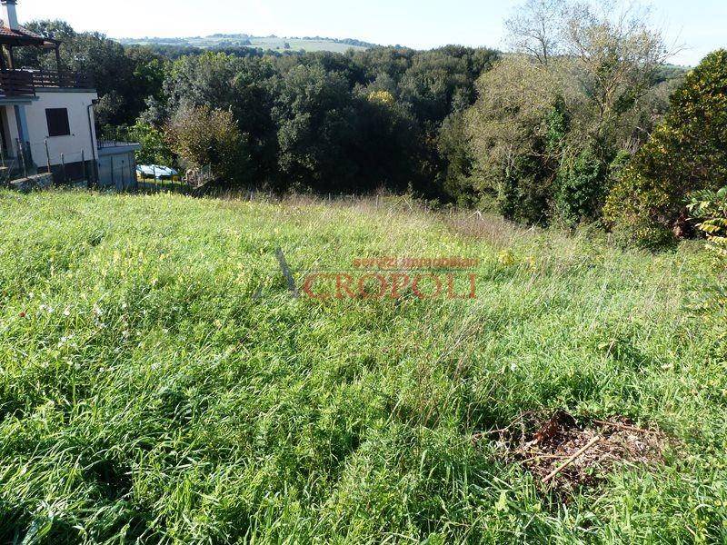 immagine annuncio 6 di 11