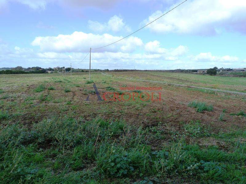 immagine annuncio 5 di 11