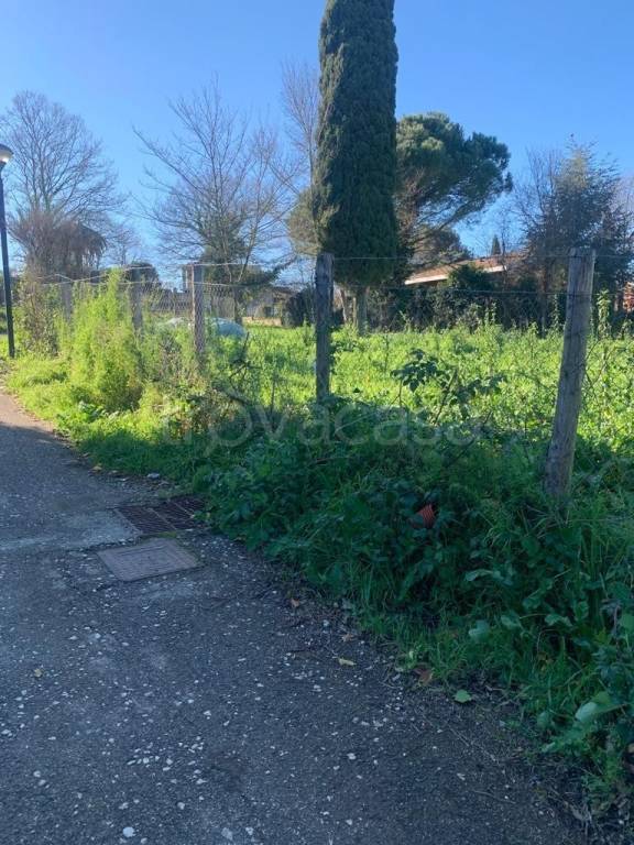 immagine annuncio 3 di 14