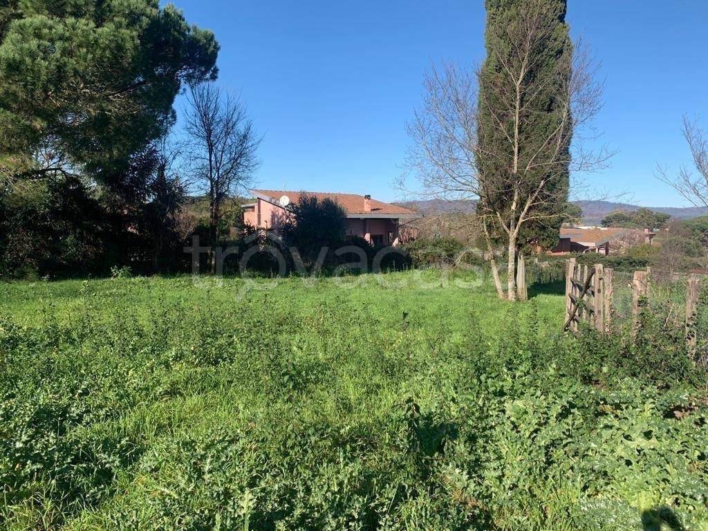 immagine annuncio 4 di 14