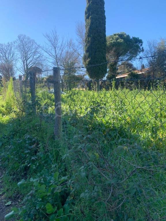 immagine annuncio 6 di 14